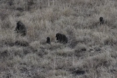 DSC_3596 (Large).JPG